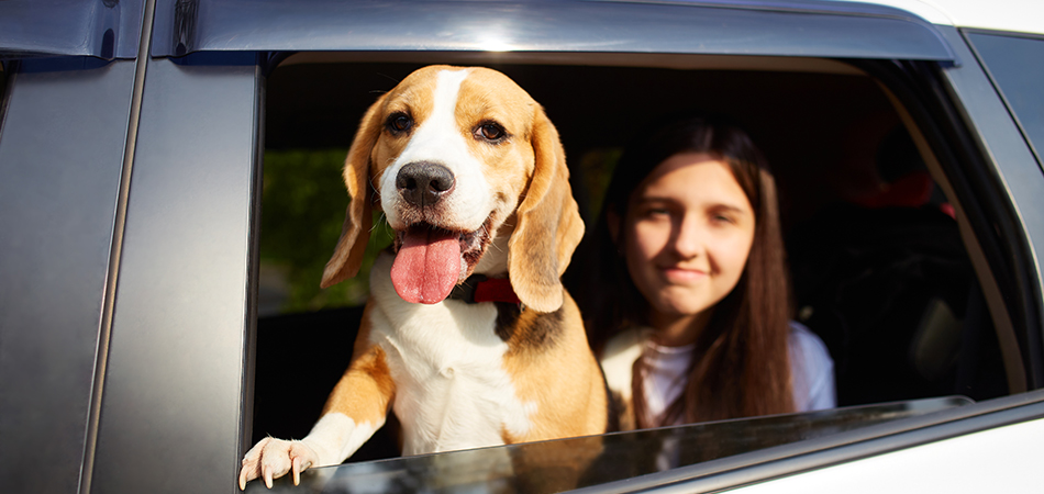 Girl with her dog sitting in the car with the window down