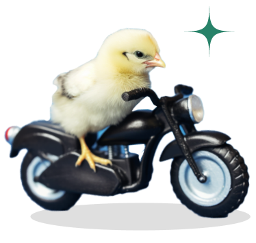 Little duck on a bike