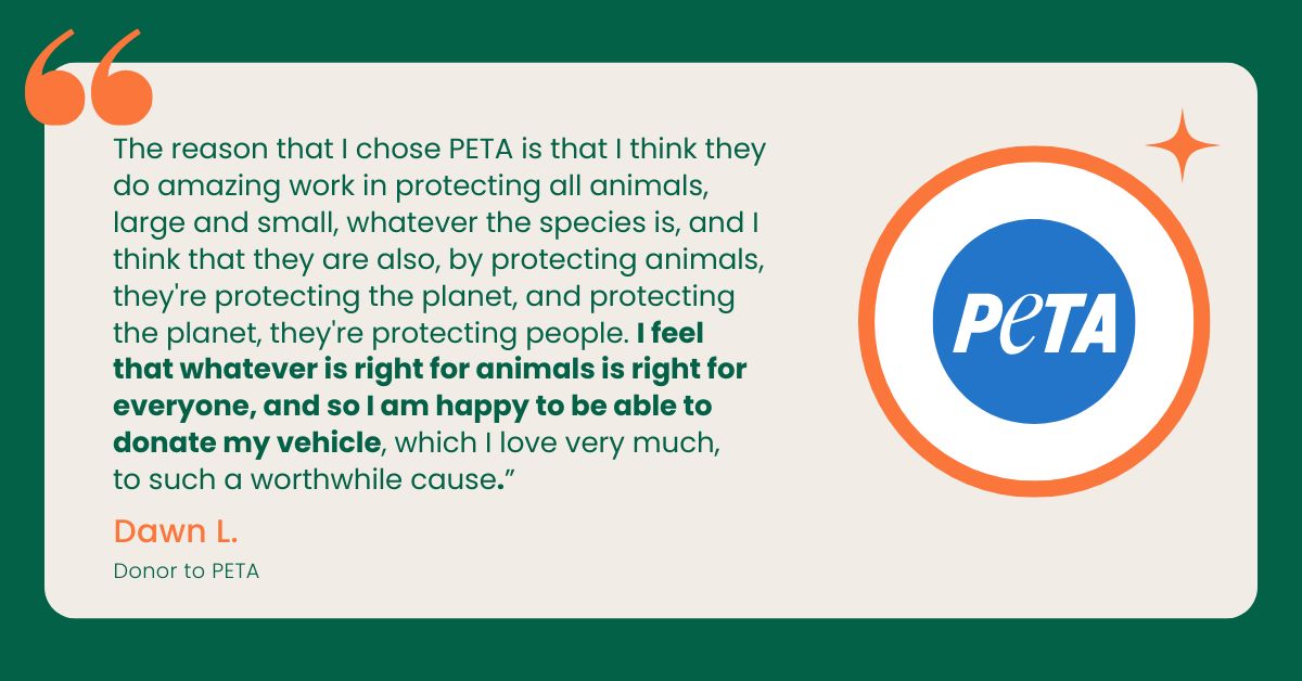 Peta testimonial